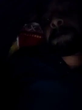 Snapshot of Sexyhotboy7inch chatting on November 21, 8:29 pm Sexyhotboy7inch online show from November 21, 8:29 pm