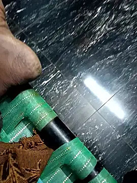 dolphiinn online show from November 4, 5:34 pm