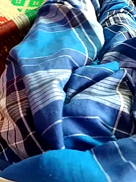 dolphiinn online show from November 14, 5:50 am