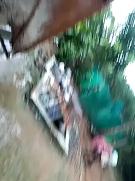 dolphiinn online show from November 29, 1:41 am