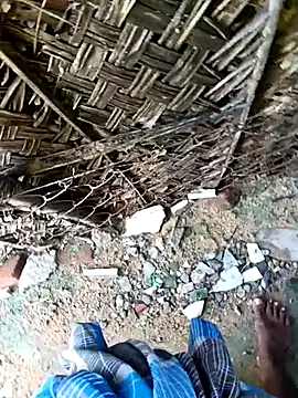 dolphiinn online show from November 30, 4:27 am