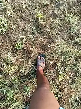 dolphiinn online show from March 8, 2:04 am