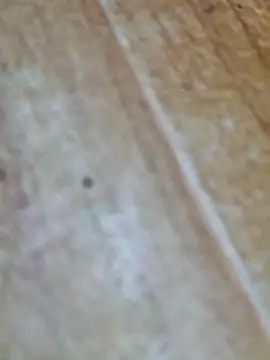 Markroco696 online show from October 9, 4:10 am