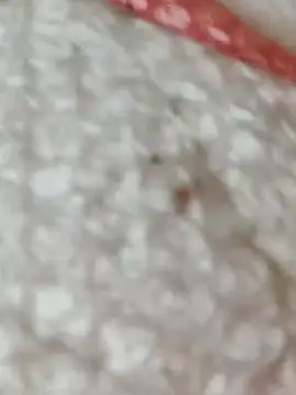 Markroco696 online show from November 15, 5:38 am