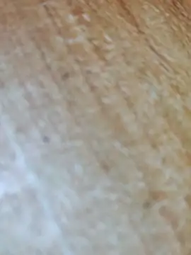 Markroco696 online show from November 17, 5:02 am