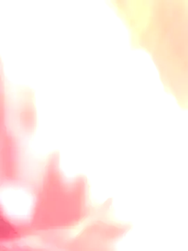 Dikchahot online show from December 17, 5:24 am