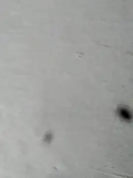 Snapshot of Mollysdick chatting on April 16, 2:18 pm Mollysdick online show from April 16, 2:18 pm