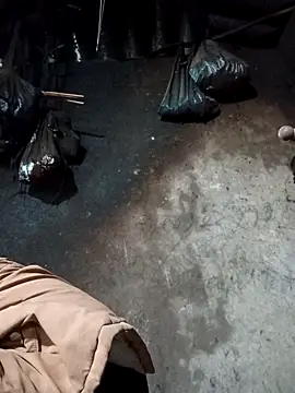 Snapshot of _Helala_ chatting on February 2, 3:16 am Helala online show from February 2, 3:16 am