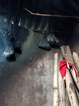 Snapshot of _Helala_ chatting on February 26, 8:35 am Helala online show from February 26, 8:35 am