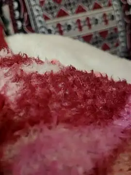 Hot modal online show from November 28, 4:53 pm