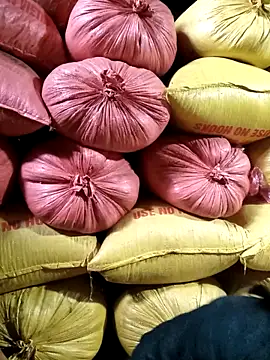 Snapshot of Sa2mh20 chatting on February 11, 6:51 am Sa2mh20 online show from February 11, 6:51 am