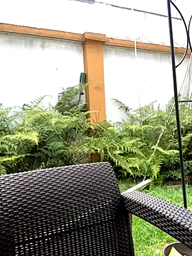 Jasmin Pink online show from September 25, 3:27 pm