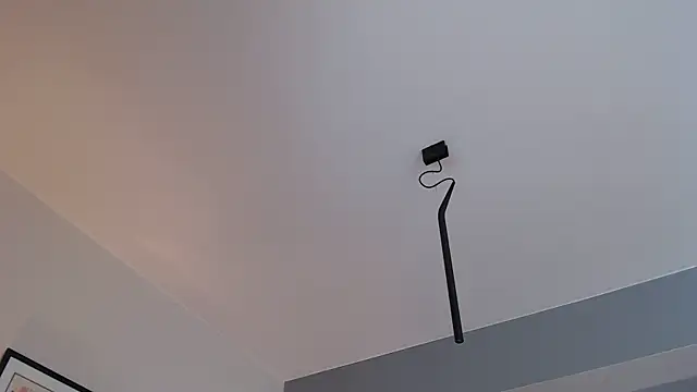 knodli online show from October 22, 8:36 am