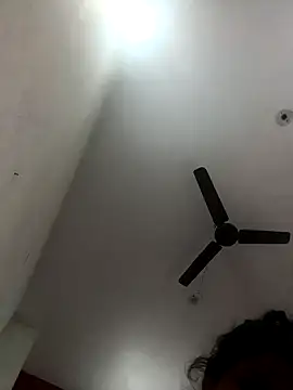 Appypie online show from November 19, 6:35 am