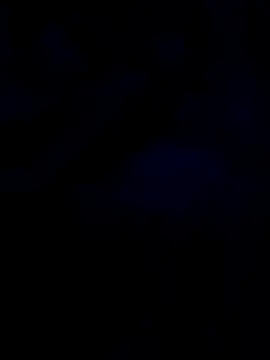 changavega online show from October 31, 12:44 am