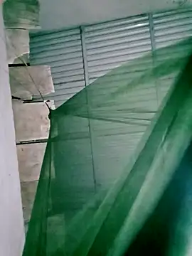 Lisa pusy online show from November 14, 12:48 pm