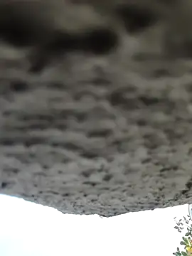 AnanyaKapoor89 online show from November 9, 2:43 am