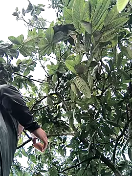 lamejorpene online show from February 5, 1:05 pm