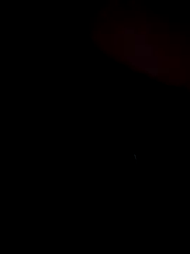 stevo170t online show from November 13, 7:40 am