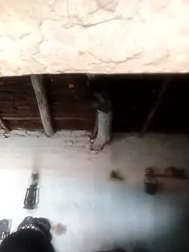 Sheema tyagi online show from October 21, 7:31 am