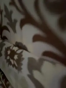 tran my online show from November 12, 5:08 am