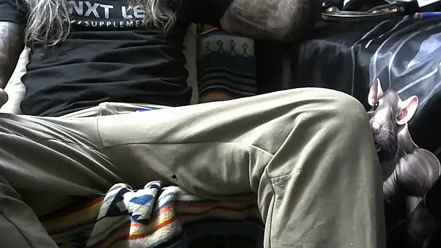 crassanova online show from April 18, 12:42 pm