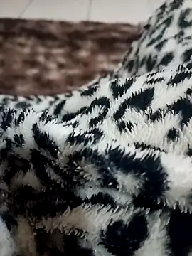 Gauderio40 online show from November 21, 4:11 am