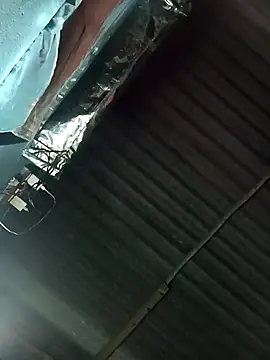 Snapshot of Hot-honi chatting on November 1, 12:12 am Hot-honi online show from November 1, 12:12 am