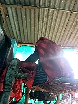 Hot-honi online show from November 8, 9:42 am