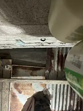 Snapshot of SaraBust chatting on April 7, 4:24 am SaraBust online show from April 7, 4:24 am