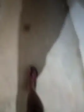 sexy  girls98 online show from November 27, 12:13 am