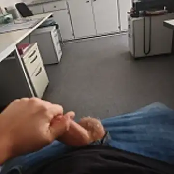 stunning stallion online show from November 16, 11:16 am