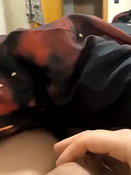 Snapshot of Leahcim84 chatting on December 4, 4:55 am Leahcim84 online show from December 4, 4:55 am