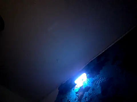 Bigdickdavis6969 online show from February 15, 2:58 pm