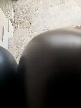 TaraWild online show from February 4, 1:28 pm