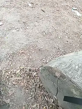 Dasdhon online show from November 18, 10:20 am