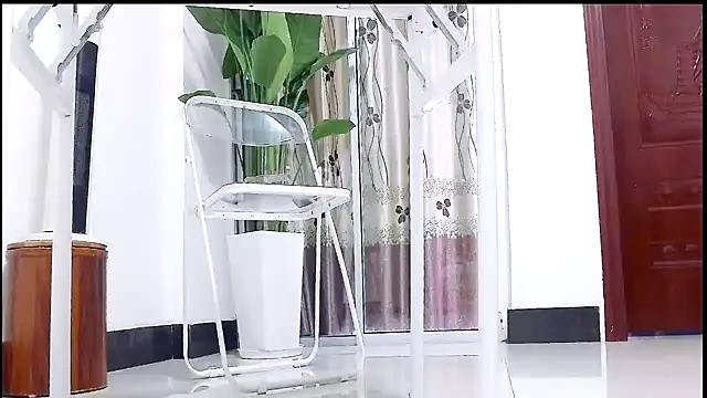 Snapshot of Tianxin6 chatting on December 17, 3:34 am Tianxin6 online show from December 17, 3:34 am