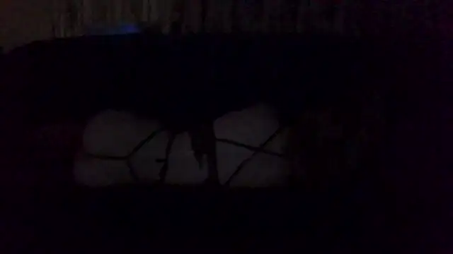 Snapshot of Rupoles chatting on November 1, 1:13 pm Rupoles online show from November 1, 1:13 pm