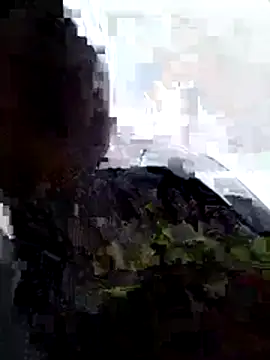 hera-00 online show from November 16, 10:21 am