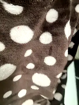 HeerStd online show from November 17, 5:24 am