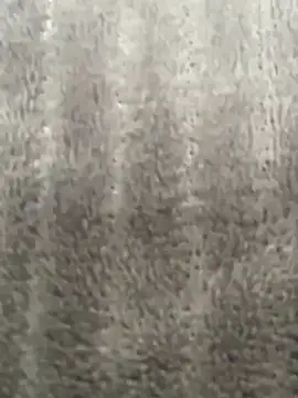 HeerStd online show from November 20, 4:45 am