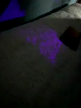 Snapshot of disvla chatting on November 22, 5:17 am disvla online show from November 22, 5:17 am