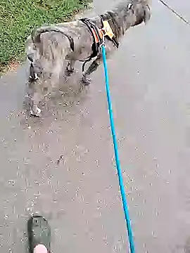 Unknownstepbrother online show from October 5, 7:56 pm