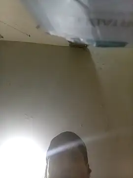 Bebicho14 online show from September 14, 7:51 am