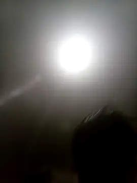 Bebicho14 online show from November 13, 3:49 am