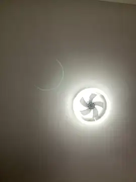 lionr0660 online show from February 25, 8:40 pm