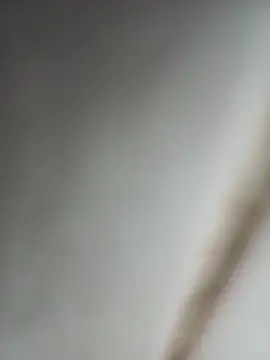 Jobson40 online show from October 16, 12:11 am