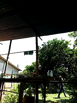 AlphaAlterX online show from October 2, 6:04 pm