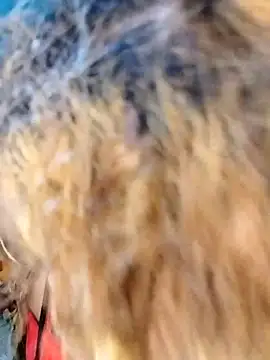 Snapshot of hemilynthomas2467 chatting on February 1, 7:23 pm hemilynthomas2467 online show from February 1, 7:23 pm