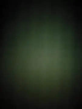 Snapshot of hilaouslee chatting on October 31, 11:11 am hilaouslee online show from October 31, 11:11 am